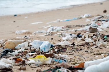 Plaj kirliliği. Plastik şişeler ve sahildeki diğer çöpler.