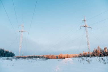 Ormandaki karlı bir tarlada kışın elektrik hatları