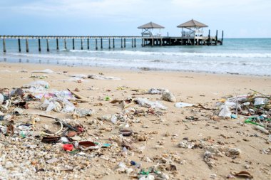 Sahilde çöp döküldü. Kullanılmış kirli plastik şişeler. Çevre kirliliği. Ekolojik sorun