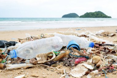 Plaj kirliliği. Plastik şişeler ve deniz sahilindeki diğer çöpler. Ekolojik kavram