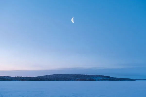 Winter Landscape Russia New Moon Rising Forest Morning — Stock Photo, Image