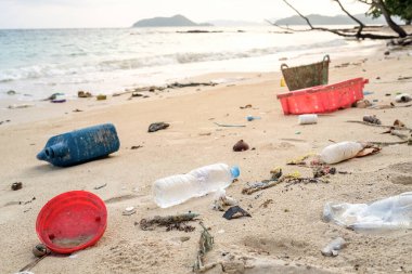Plaj kirliliği. Plastik şişeler ve deniz sahilindeki diğer çöpler. Ekolojik kavram