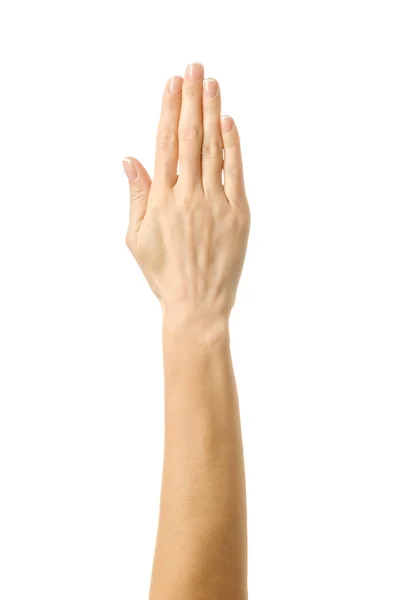 Kaldırılmış el oylaması ya da ulaşma. Beyaz arka planda izole edilmiş Fransız manikürlü kadın eli. Dizinin bir parçası