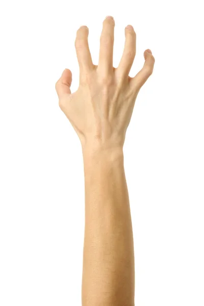 Çekiyor, tutuyor, uzanıyor ya da kaşınıyor. Beyaz arka planda izole edilmiş Fransız manikürlü kadın eli. Dizinin bir parçası