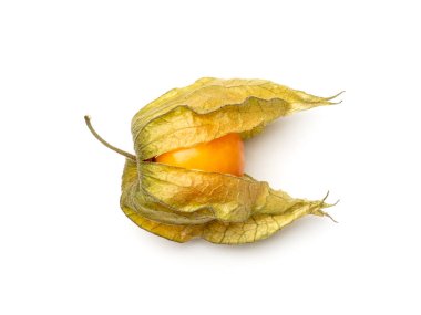 Beyaz arka planda Physalis izole. Altın böğürtlen manzarası