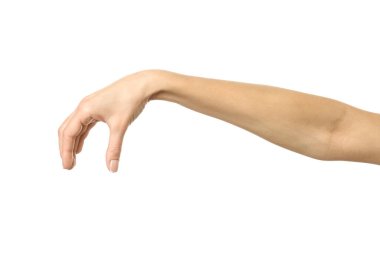 El pençe, el ele tutuşmak, kavramak ya da uzanmak. Beyaz arka planda izole edilmiş Fransız manikürlü kadın eli. Dizinin bir parçası