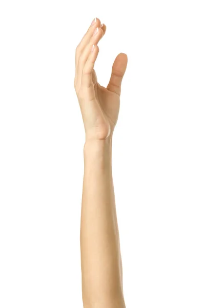 Αυξημένη Ψηφοφορία Χέρι Φτάνοντας Γυναικείο Χέρι Γαλλικό Μανικιούρ Gesturing Απομονώνονται — Φωτογραφία Αρχείου
