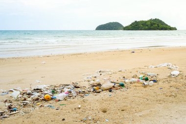 Plaj kirliliği. Plastik şişeler ve deniz sahilindeki diğer çöpler. Ekolojik kavram