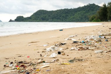 Plaj kirliliği. Plastik şişeler ve sahildeki diğer çöpler. Ekolojik sorun