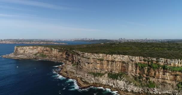 Höga Sandstensklippor Sydney North Head Vaktar Sydney Harbour Från Vilda — Stockvideo