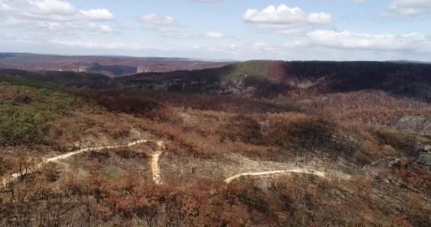 Ausztrál Kék Hegység Grand Canyonja Hatalmas Bozóttüzek Után Leégett Gumifa — Stock videók