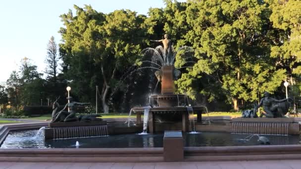 Veřejný Park Sydney City Hyde Park Kolem Vodní Fontány Sochami — Stock video