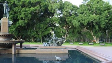 Şafak vakti Sydney 'de boş bir halk parkı çeşmenin etrafında geniş panoramik panoramik panoramik geziniyor..