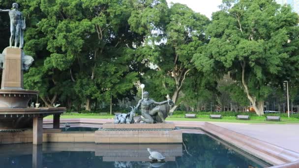 Şafak Vakti Sydney Boş Bir Halk Parkı Çeşmenin Etrafında Geniş — Stok video