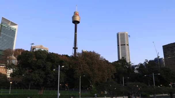 Sydney Cbd Hyde Park Naar Katholieke Kathedraal Bij Zonsopgang — Stockvideo