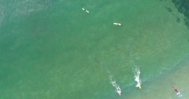 在澳大利亚太平洋沿岸悉尼北部海滩上冲浪的滚滚波浪 — 图库视频影像