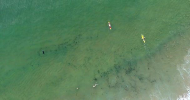 日出日落时在悉尼北部海滩上享受海浪的冲浪板和冲浪者 — 图库视频影像