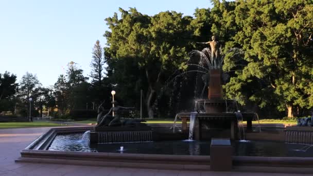 Vista Frontal Fuente Histórica Ciudad Sydney Hyde Park Amanecer Rodeado — Vídeo de stock