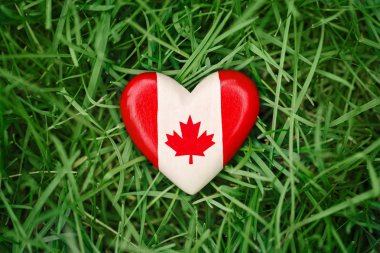 wooden small heart with red white canadian flag maple leaf lying in grass on green forest nature background outside, Canada day celebration clipart