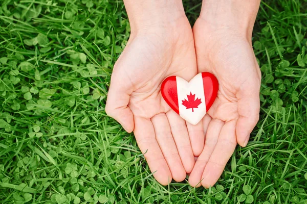 hands palms holding round badge with red white canadian flag maple leaf, on green grass forest nature background outside, Canada Day celebration