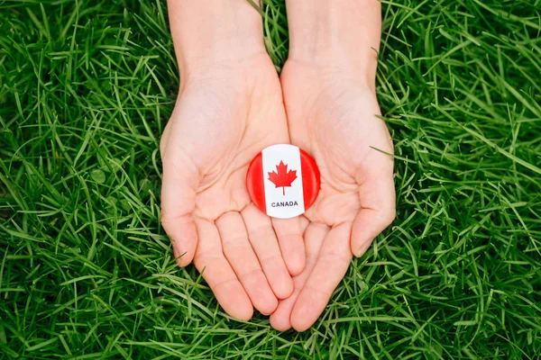 Ręce trzymając okrągły znaczek z czerwony biały flaga kanadyjski liść klonu, na tle natura Las trawa zielona poza Kanada święto palmy — Zdjęcie stockowe