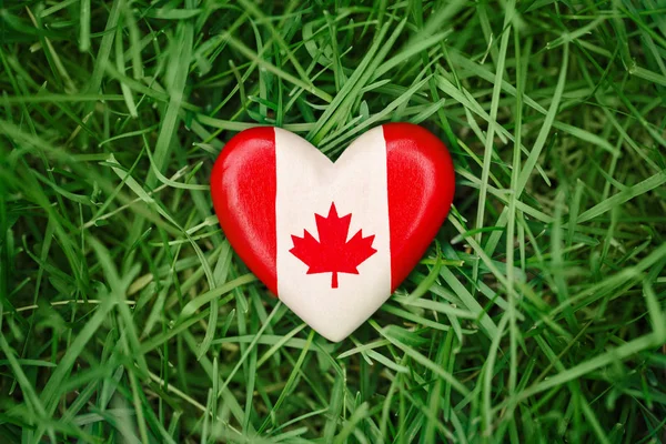 Pequeño corazón de madera con la bandera de Canadá blanca roja hoja de arce que miente en la hierba en el fondo verde de la naturaleza del bosque afuera, celebración del día de Canadá — Foto de Stock