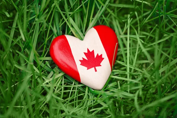 Houten kleine hart met rood witte Canadese vlag esdoornblad liggen in het gras op groene bos natuur achtergrond buiten, de viering van de dag van Canada — Stockfoto