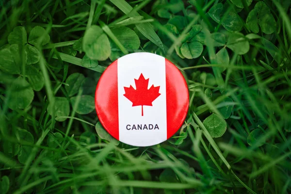 Makro närbild skott av runda cirkeln märke med röd vit Kanadas Flagga lönnlöv liggande i gräset på gröna skogen natur bakgrund utanför, Kanada firandet — Stockfoto