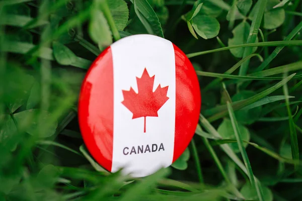 Makro närbild skott av runda cirkeln märke med röd vit Kanadas Flagga lönnlöv liggande i gräset på gröna skogen natur bakgrund utanför, Kanada firandet — Stockfoto