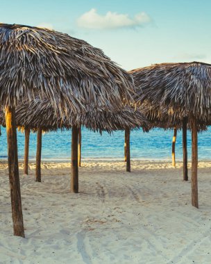 hasır şemsiyeleri sahilde kapsar