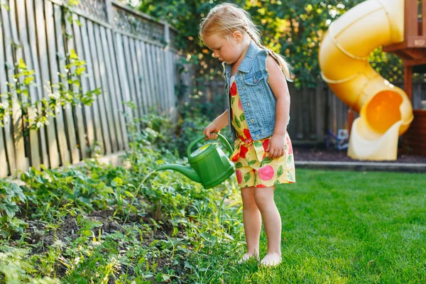 Menina regando plantas verdes — Fotografia de Stock