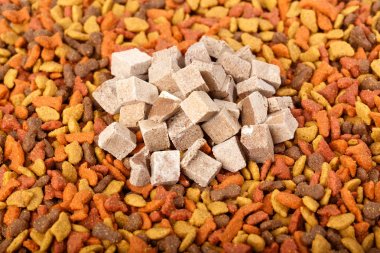 Cat dog food in granules clipart