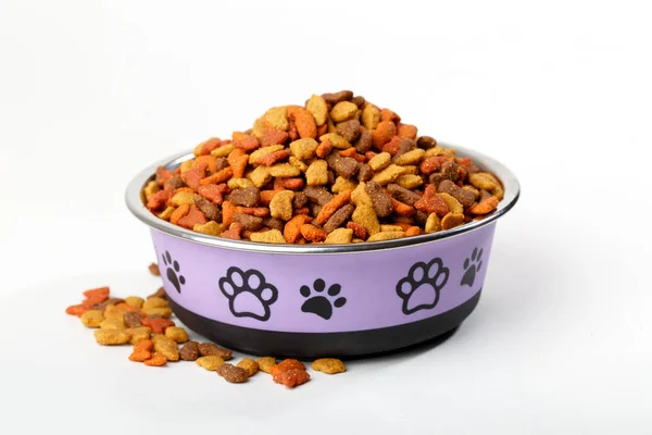 Comida de cão gato na tigela — Fotografia de Stock