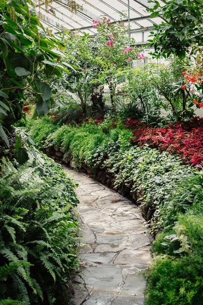 Каменная дорожка в ботаническом саду — стоковое фото