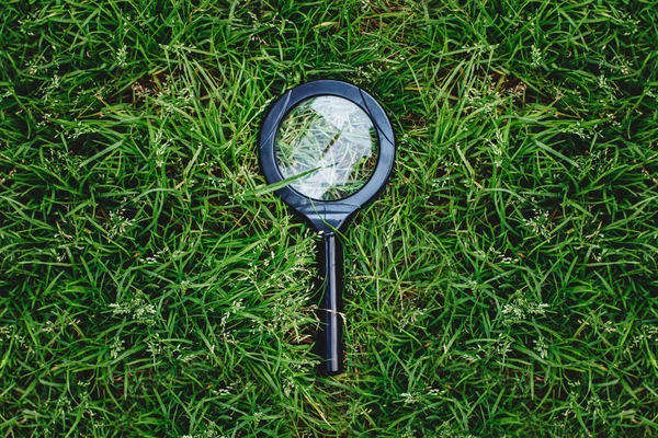 Magnifying glass on green grass — Stock Photo, Image