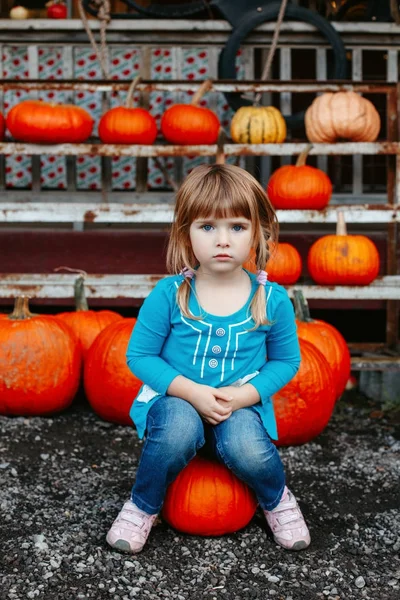 Little girl sitting on pumpkin — Stock Photo, Image