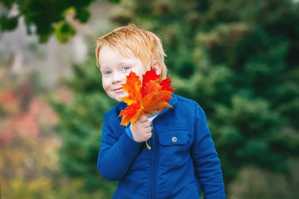 可爱的滑稽可爱的微笑的白人红头发的男孩与蓝眼睛举行秋季落叶公园的肖像 — 图库照片