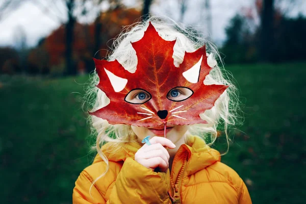 Retrato Criança Bonito Criança Com Olhos Azuis Segurando Outono Outono — Fotografia de Stock
