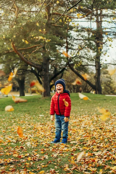 Lindo Adorable Divertido Niño Niño Pequeño Niño Gritando Riendo Emoción —  Fotos de Stock