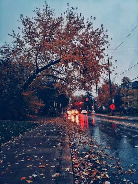Bad autumn fall rainy weather. Poor visibility on roads. Night e — Stock Photo, Image