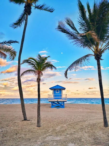 Hollyw 'de Florida sahilinde tipik bir Amerikan mavi cankurtaran evi.