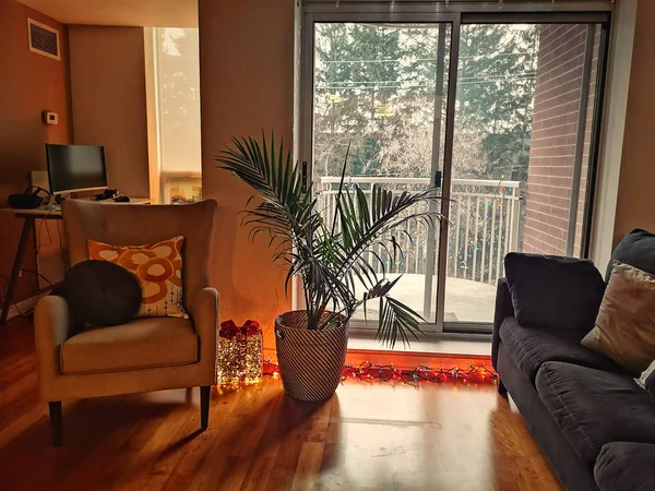 Modern hipster apartment room interior with large houseplant in