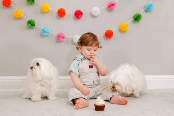 Счастливый удивленный милый белый мальчик празднует свой первый день рождения дома. Ребенок сидит на полу с собакой. Вкусный кексовый десерт с тортом первое слово. С днем рождения!. — стоковое фото
