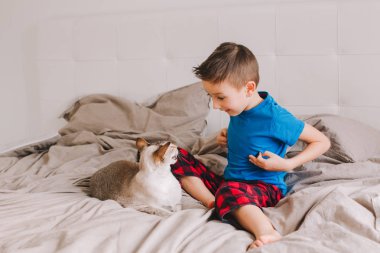 Yatak odasında evde oturan ve oryantal nokta renkli kedi okşayarak sevişme beyaz okul öncesi çocuk portresi. Çocuk ile aile içi kürklü kedi hayvan. Sevimli samimi çocukluk an.