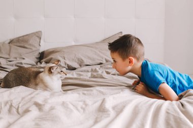 Yatak odasında evde oturan ve oryantal nokta renkli kedi okşayarak sevişme beyaz okul öncesi çocuk portresi. Çocuk ile aile içi kürklü kedi hayvan. Sevimli samimi çocukluk an.