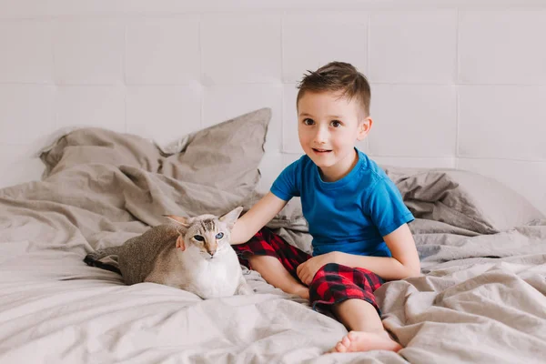 Porträtt Kaukasiska Förskolebarn Pojke Sitter Sängen Sovrummet Hemma Och Petting — Stockfoto