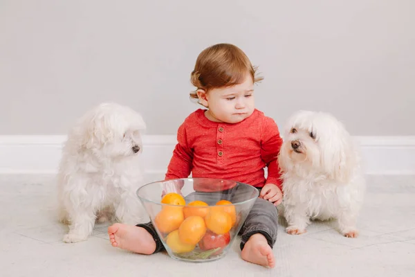 Cute Adorable Caucasian Baby Boy Eating Citrus Fruit Finny Child — Stockfoto