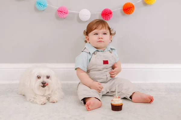 Selamat Ulang Tahun Bayi Kulit Putih Yang Lucu Merayakan Ulang — Stok Foto