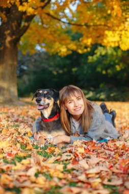 Genç, beyaz bir kadın yere yığılıp kalıyor ve köpeğe sarılıyor. Sahibi sonbahar günü evcil hayvanla yürüyor. En iyi arkadaşlar dışarıda eğleniyor. İnsanların evcil hayvanlarla arkadaşlığı.