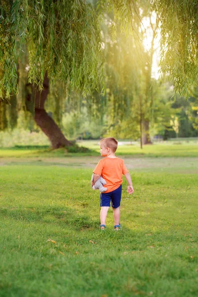 孩子要去未来 可爱的小白种小孩 穿着红色橙色T恤 毛绒玩具塞满了 一个人在公园里散步 夏日的黄昏 美丽的大自然 长着高大的树木 从后面看 — 图库照片